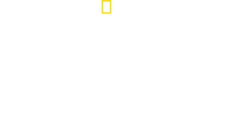 King Tut In Color logo