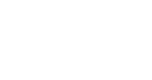 Public Enemies logo