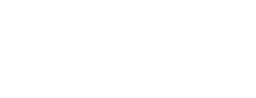 Bronx Zoo '90: Crime, Chaos and Baseball logo