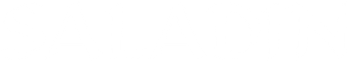 Saladin logo