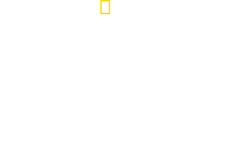 Cheetahs Up Close with Bertie Gregory logo