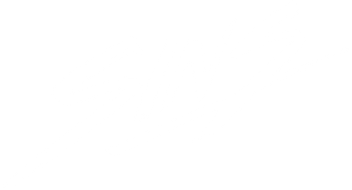 Sins logo