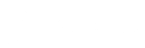 Blue Velvet logo