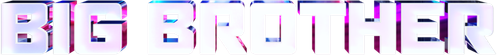 Big Brother logo