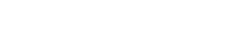 Les Enquêtes de l'inspecteur Wallander logo
