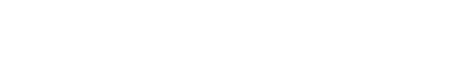 Une New-Yorkaise à la montagne logo