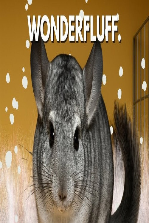 What is a Chinchilla, Really?