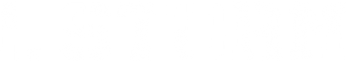 L Storm logo
