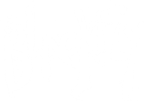 Blackfly logo