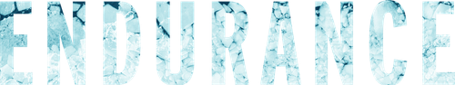 Endurance logo