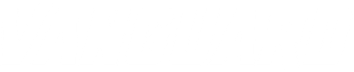 Vanguard logo