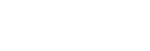 Satellite Boy logo