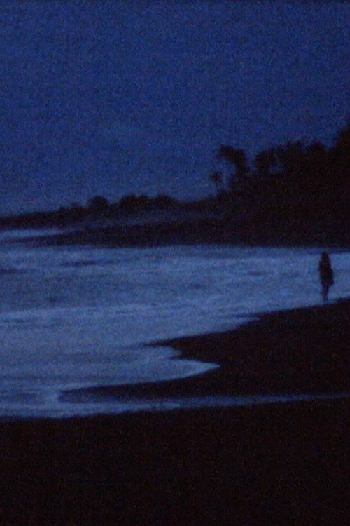A conversation with the ocean
