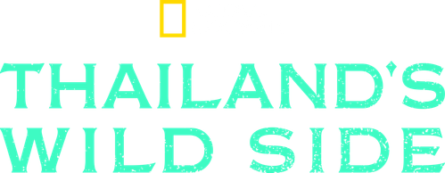 Thailand's Wild Side logo
