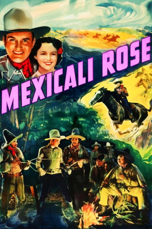 Mexicali Rose