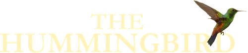 The Hummingbird logo