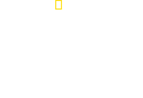 Valley of the Boom logo