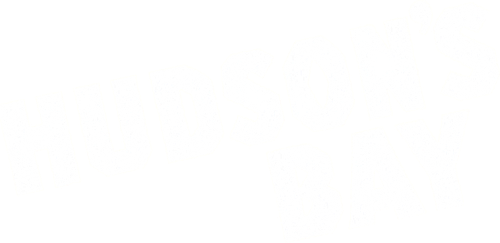 Hudson's Bay logo