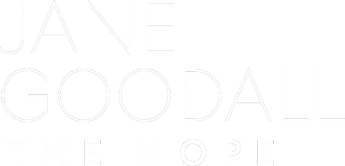 Jane : Un message d'espoir logo