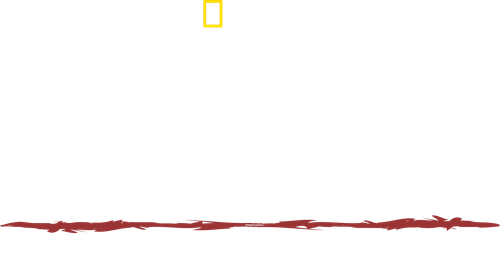 Primal Survivor: Extreme African Safari logo