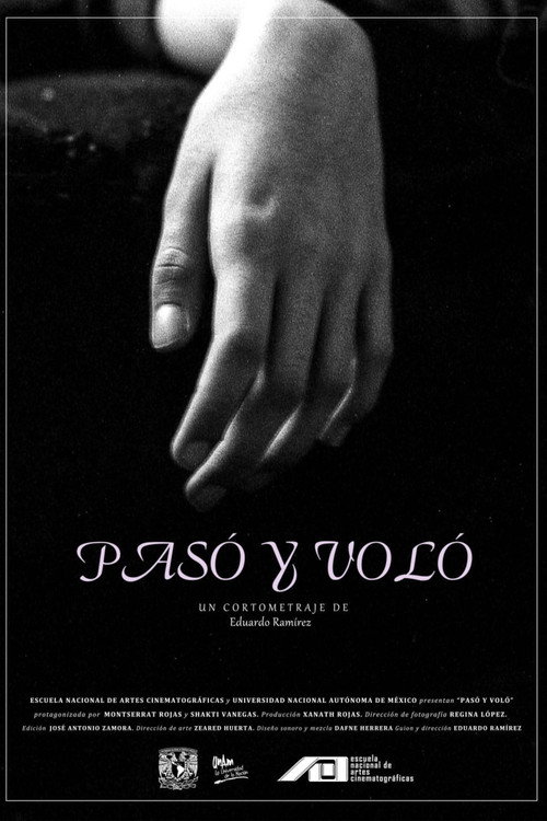 Pasó y voló