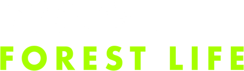 Wild City logo