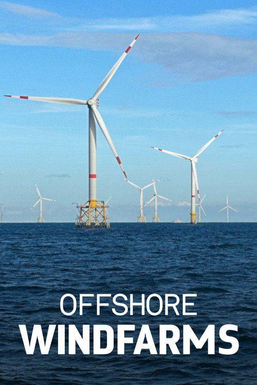 Windparks im Meer - Chance oder Risiko für die Natur?
