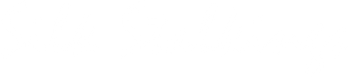 Silk Stalkings logo