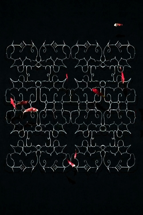Ciciri