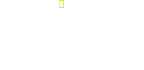 Hitler Youth logo