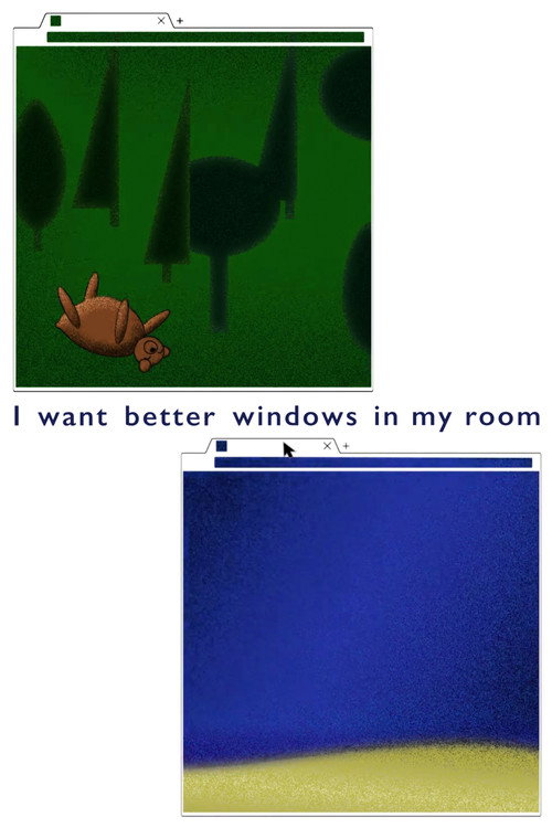 I Want Better Windows In My Room