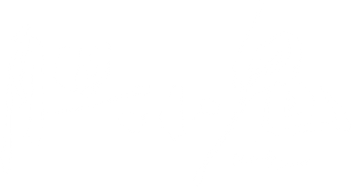 Nobody Knows logo