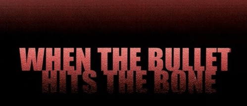 Bullet in the Dark logo