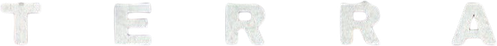 Terra logo