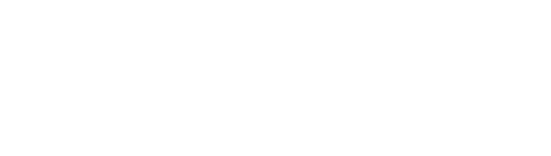 The Southerner logo