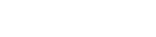 L'Égypte vue du ciel logo