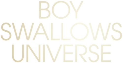 Boy Swallows Universe logo