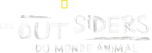Les outsiders du monde animal logo