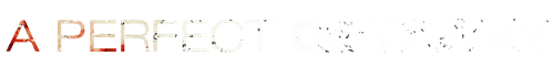 A Perfect Getaway logo