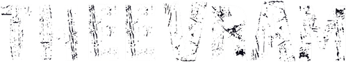 തീവ്രം logo