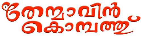 Thenmavin Kombath logo