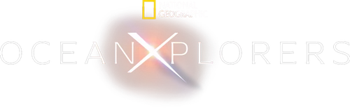 OceanXplorers logo