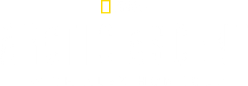 Arctic Ascent with Alex Honnold logo
