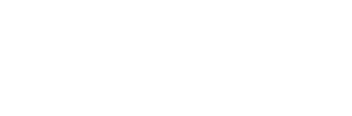 2010 logo