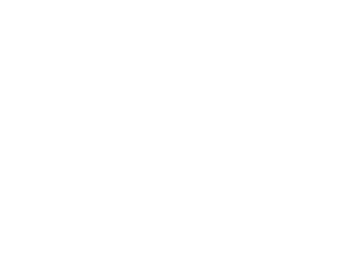 It logo