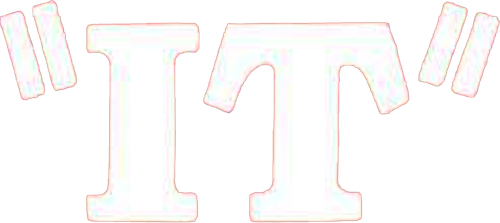 It logo