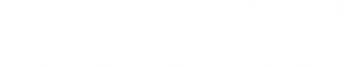 Einstein et la bombe logo