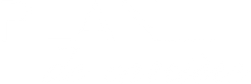 Plan de carrière logo