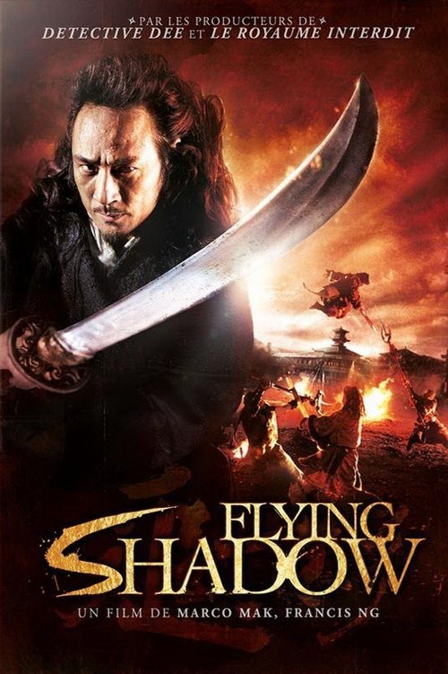 Flying Shadow