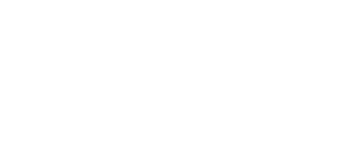 Bluey logo